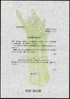 プリンタ共用 和紙 あいさつ A3 1000枚入
