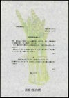 挨拶状用紙