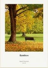 ハーネミューレ バンブー(Hahnemuhle Bamboo) 290gsm 500um A2 25枚