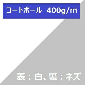 コートボール (表白、裏ネズ) 400g/m2品 0.56mm A4 500枚箱入 【通販