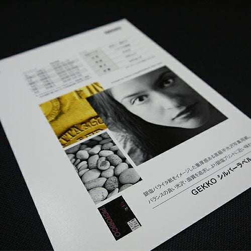 インクジェット用 GEKKO シルバーラベルプラス 厚手半光沢 390um A3
