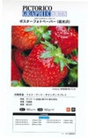 ピクトリコグラフィックアーツ ポスターフォトペーパー 超光沢 180um 1118mm×30M 1本 PPR120-44100/3