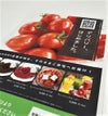 マルチペーパー A3ノビ T目(318mm×450mm) 157g/m2 180um 400枚