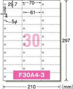 a-one マルチカード プリンタ兼用 両面 白無地単語カード 30面 5シート 51163