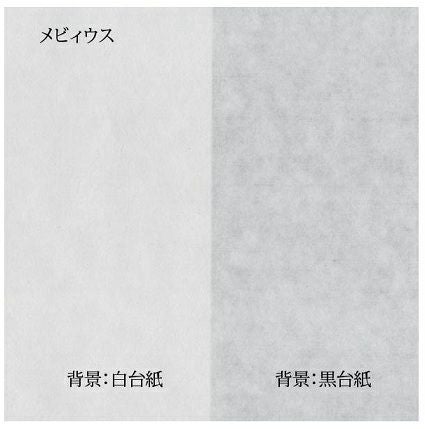 メビィウス水墨画帳 F6判 20枚　5冊入
