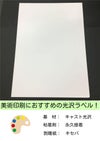 スーパーキャスト　普通糊　キセパ